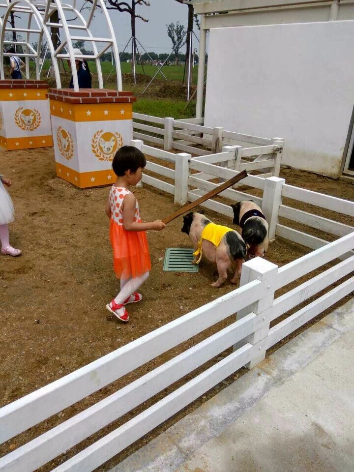 利来集团(中国)_来利国际w66俱乐部