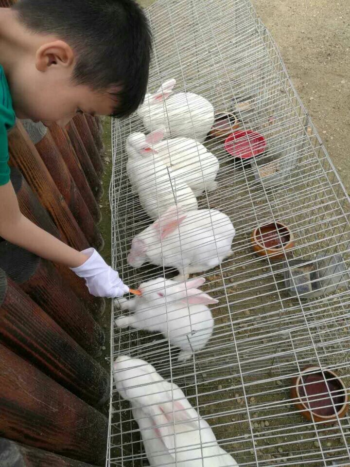 利来集团(中国)_来利国际w66俱乐部