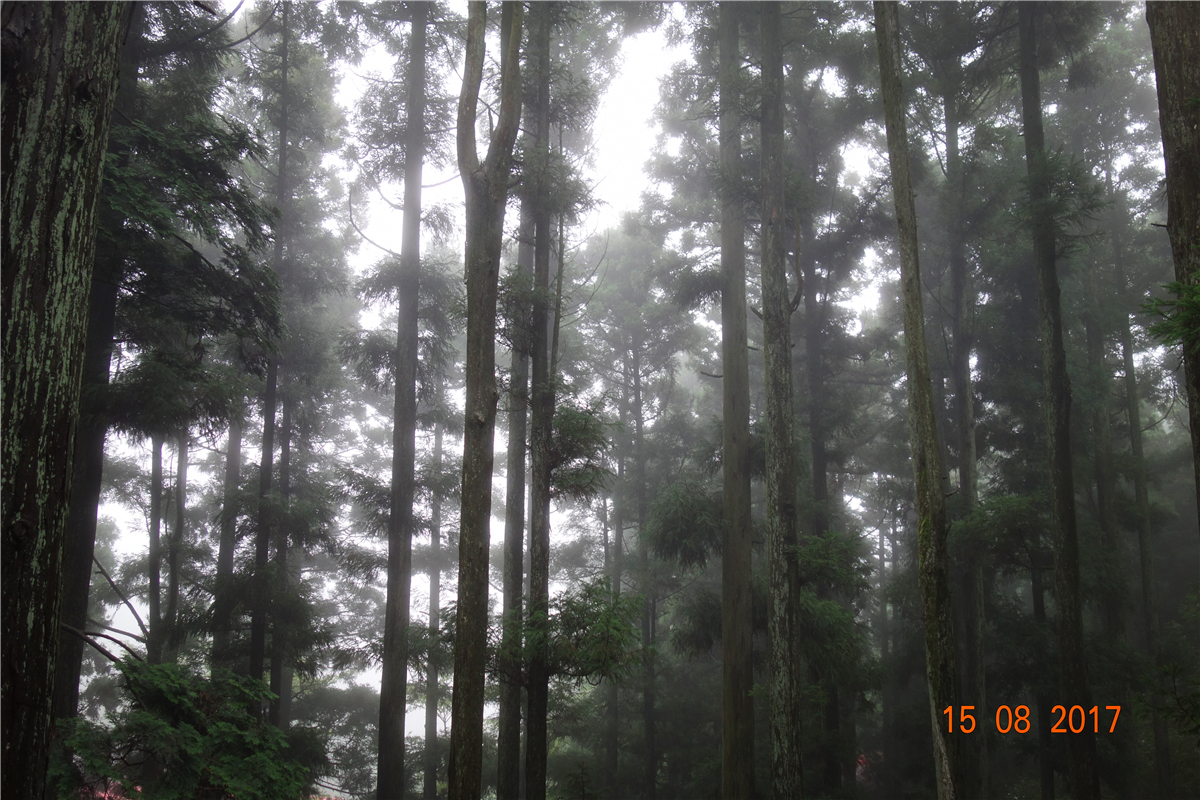 利来集团(中国)_来利国际w66俱乐部