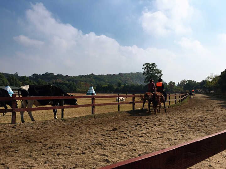 利来集团(中国)_来利国际w66俱乐部