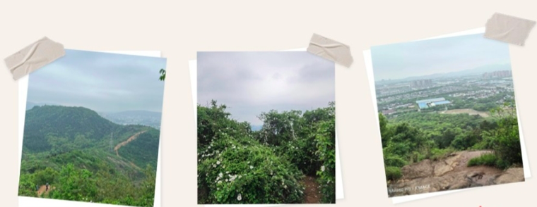 利来集团(中国)_来利国际w66俱乐部